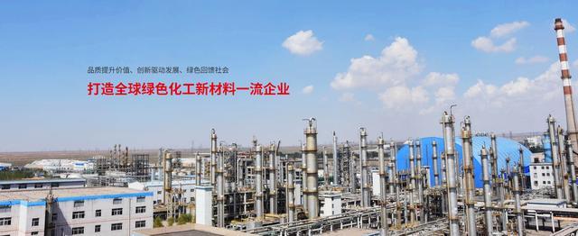 与风险防控机制 构筑高质量发展护城河pg电子试玩双欣环保：健